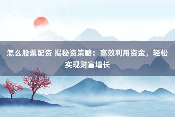 怎么股票配资 揭秘资策略：高效利用资金，轻松实现财富增长