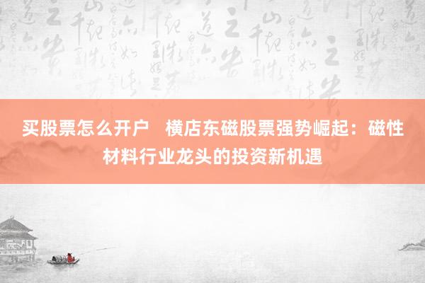 买股票怎么开户   横店东磁股票强势崛起：磁性材料行业龙头的投资新机遇