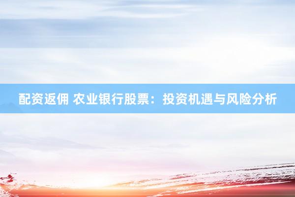 配资返佣 农业银行股票：投资机遇与风险分析