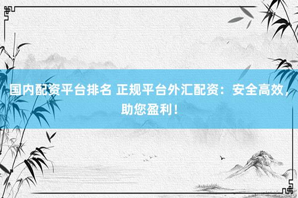 国内配资平台排名 正规平台外汇配资：安全高效，助您盈利！