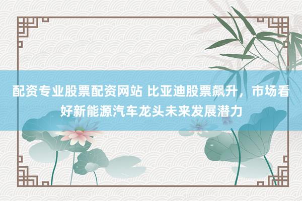 配资专业股票配资网站 比亚迪股票飙升，市场看好新能源汽车龙头未来发展潜力