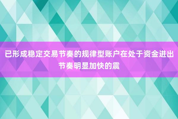 已形成稳定交易节奏的规律型账户在处于资金进出节奏明显加快的震