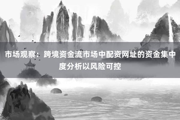 市场观察：跨境资金流市场中配资网址的资金集中度分析以风险可控
