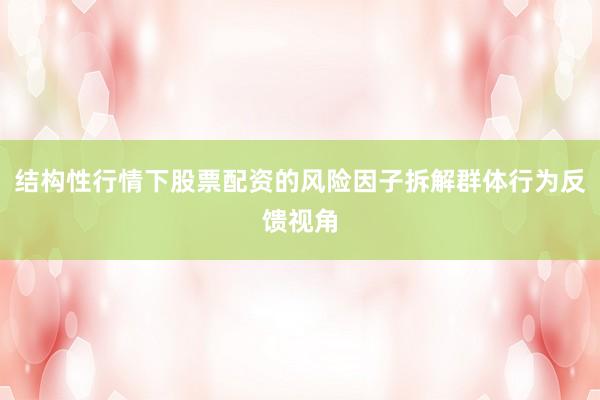 结构性行情下股票配资的风险因子拆解群体行为反馈视角