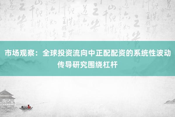 市场观察：全球投资流向中正配配资的系统性波动传导研究围绕杠杆