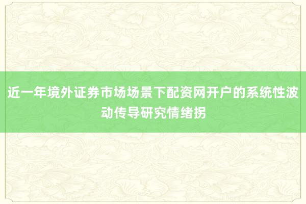 近一年境外证券市场场景下配资网开户的系统性波动传导研究情绪拐